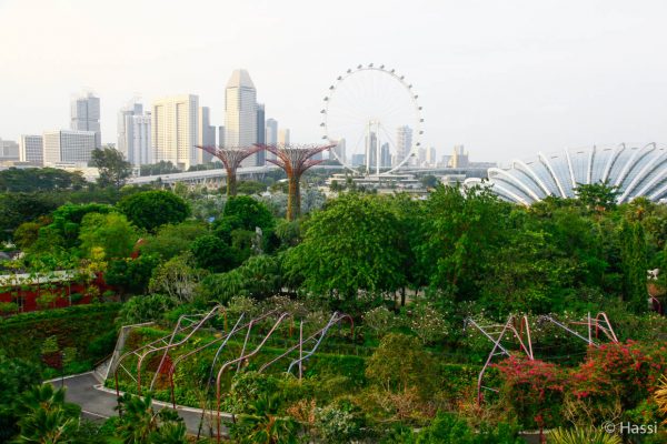 _MG_5253 Garden by the Bay