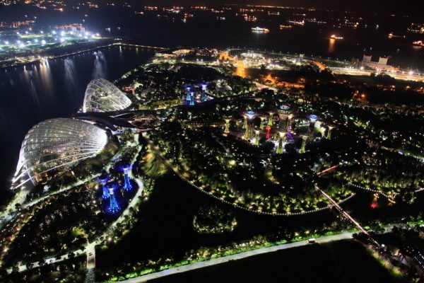 RE__MG_5607 近未来的なGardens by the Bay