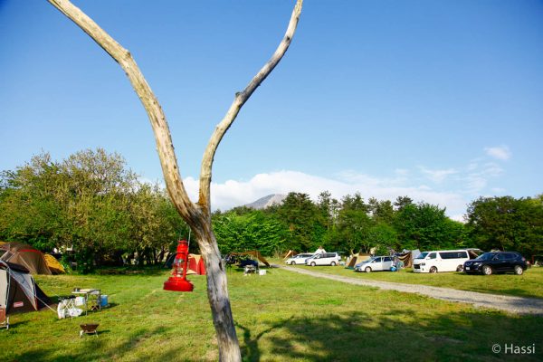 _MG_7333 サイトの向こうに大山の頭も望んでいます。